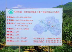 技術(shù)推廣服務(wù)中心 連接創(chuàng)新與市場的橋梁